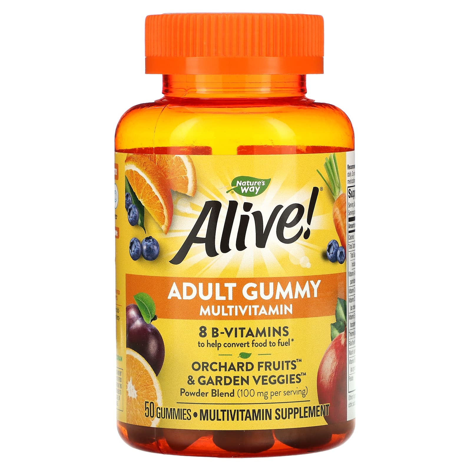 Nature’s Way, Alive! Multi-Vitamins, 50 Gummies UPC 033674157879 | HiLife Vitamins